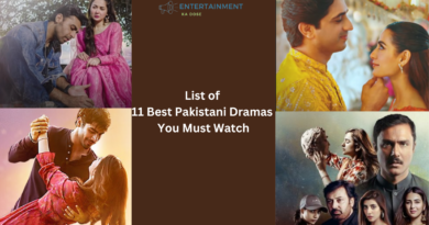 11 Best Pakistani Dramas You Must Watch